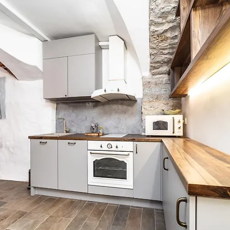 Appartamento Historical & Modern Business With Sauna @kadriorg *