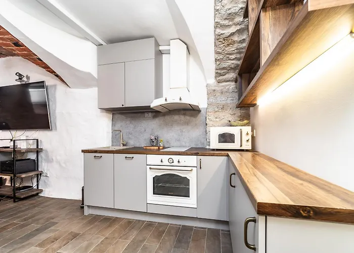 Apartamento Historical & Modern Business With Sauna @kadriorg *