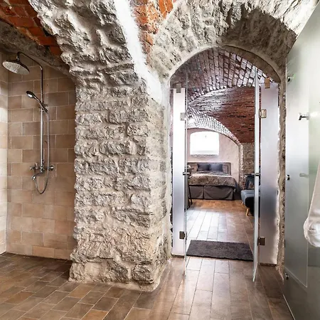 Διαμέρισμα Historical & Modern Business With Sauna @kadriorg